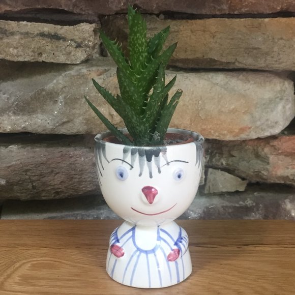 VTG Egg Cup Faces People MCM Japan Succulents Boho - Picture 6 of 9